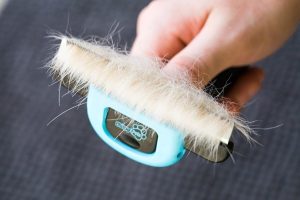 Best Cat Brushes : Pet Neat Pet Grooming Brush