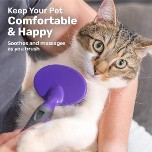 Best Cat Brushes : Hertzko Self-cleaning Cat Brush