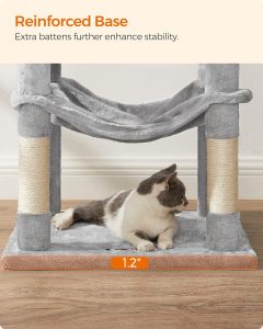 best cat tree for large cats