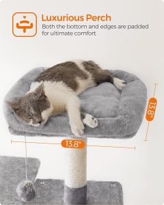 best cat tree for large cats