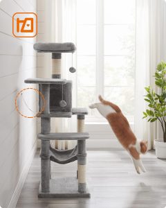 best cat tree for large cats 