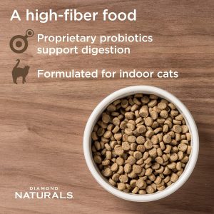 Best Cat Food for Indoor Cats