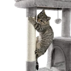 best cat tree for large cats